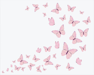 decorative sakura blossoms flowers of retro vintage style butterflies. Vector illustration design for fashion, tee, t shirt, print, poster, graphic, background butterfly	