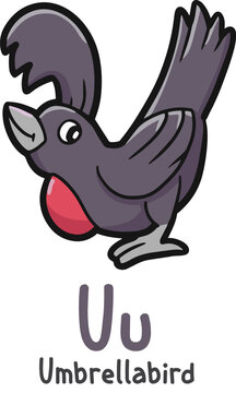 Alphabet shaped umbrellabird animals cartoon vector