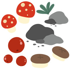 mushroom and berry