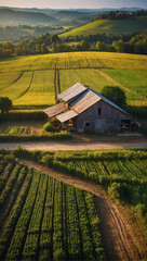 Agricultural charm from above, scenic countryside, photorealistic illustration.