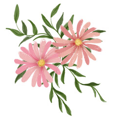 Two aster flowers with leaves