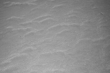 Black & white shot of a sandy desert landscape in Namibia.