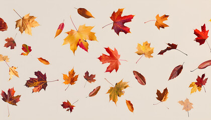 Obraz premium Different autumn leaves falling on beige grey background