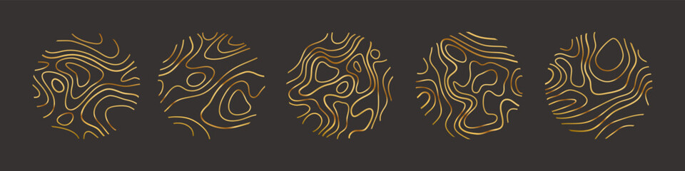 Circular wood rings or topographic map lines texture set. Wood tree topographic abstract lines collection flat style design vector illustration contour isolated pattern design.