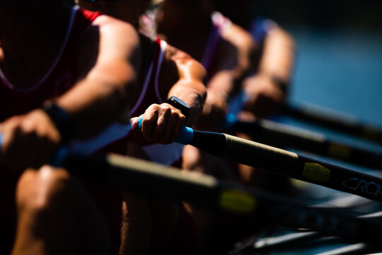 Person holding rowing oars