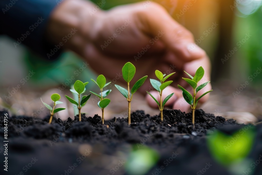 Poster a close up image of a person's hand touching a plant. suitable for nature and environment concepts