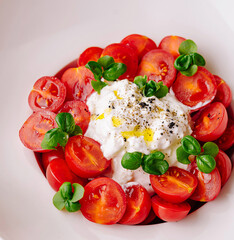 Fresh tomato and basil salad with burrata cheese