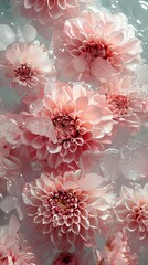 abstract background of frozen dahlia flowers in water, milk and ice