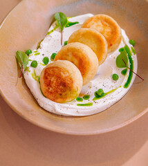 Gourmet cottage cheese pancakes on creamy sauce with greens