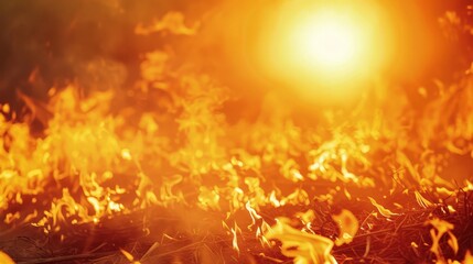 Fiery Blaze in Sunlight