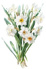 A bunch of white flowers with green stems. Perfect for floral arrangements