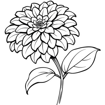 recommend clip art: Zinnia Flower outline illustration coloring book page design, Zinnia Flower black and white line art drawing coloring book pages for children and adults