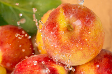 Fresh apricot in water