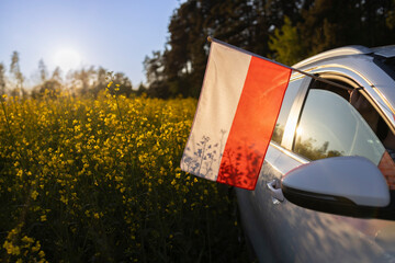 passenger car drives off-road through a blooming yellow rapeseed field on a sunny day. A Polish flag sticks out of the car window. National symbol of freedom and independence. auto tour of Europe