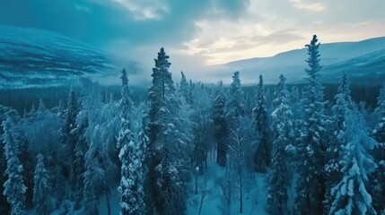 A beautiful snowy forest with trees covered in snow. The sky is blue and the sun is setting