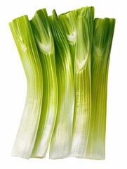 A bunch of celery stalks are shown in a white background