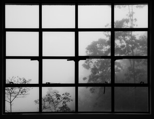 View through window pane with trees in fog and mist as background.