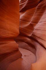 Southwest Desert