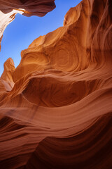 Southwest Desert