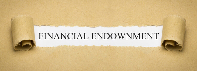 Financial Endowment