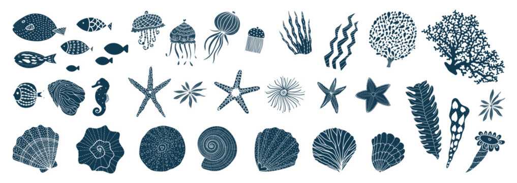 Sea animals and water plants. Vector illustration on a transparent background. Illustration icon set of various sea creatures (seashells, starfish,jellyfish, coral, seaweed, and tropical fish)