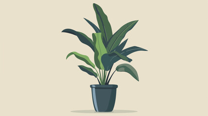 house plant in pot Vector illustration. Vector style