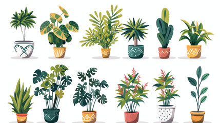 house plants set icons Vector illustration. Vector style