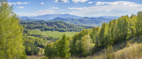 Panoramic view of mountain valley on spring day, green forests and snow on the peaks