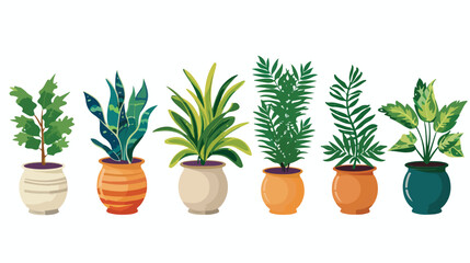 houseplant with potted isolated icon Vector illustration