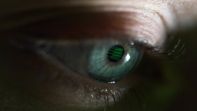 Reflection of the green program code in the human eye, extremely close-up. A female hacker programmer writes code.