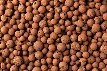 lightweight expanded clay aggregate LECA little balls of clay used in place of soil for houseplants as background © Maksims