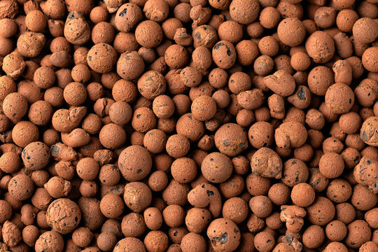 lightweight expanded clay aggregate LECA little balls of clay used in place of soil for houseplants as background