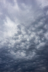 Fototapeta premium vertical background in the form of a cloudy gray sky.