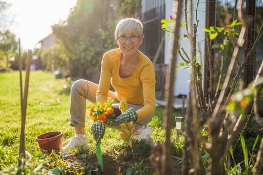 Happy senior woman gardening in her yard. She is is planting a flower.	