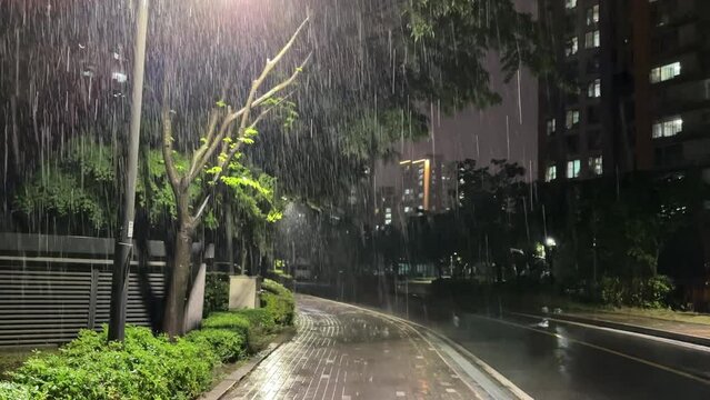장대비가 내리는 풍경