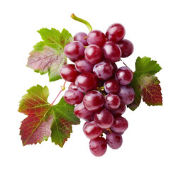 Fototapeta premium bunch of red grapes with green leaves isolated on transparent background