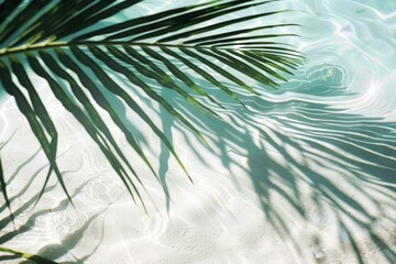 Top view of water surface with tropical leaf shadow. High-resolution. Beautiful simple AI generated image in 4K, unique.