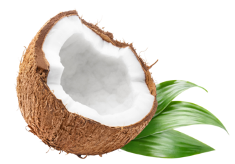 Delicious coconut half, cut out