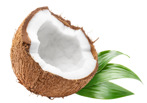 Delicious coconut half, cut out - Powered by Adobe