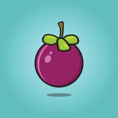 Purple Mangosteen vector isolated. Mangosteen fruit vector illustration design