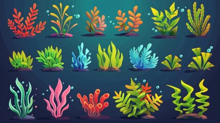 Underwater ocean plants and aquarium plants with colorful leaves. Wildlife natural seabed flora - marine algae and oceania corals. - obrazy, fototapety, plakaty