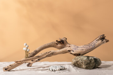 Fototapeta premium Dry branches, stones, sand and a sprig of brunia. Abstract composition in warm colors, eco-friendly product presentation, selective focus.
