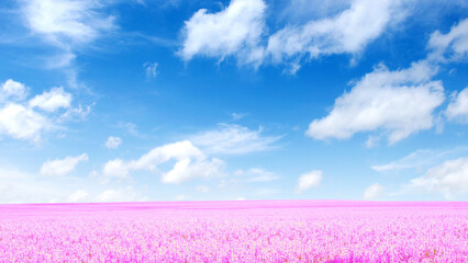 Blue sky with pink flower Landscape
