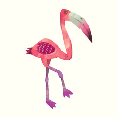 Flamingo. animal wildlife. watercolor vector illustration.