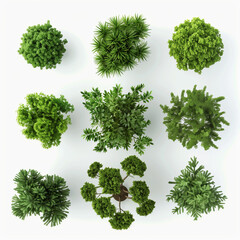 "Overhead View: Assorted Green Tree Silhouettes Set, Transparent Backgrounds, 3D Render, Clean White Backdrop."