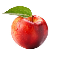 Nectarine fruit isolated on transparent background
