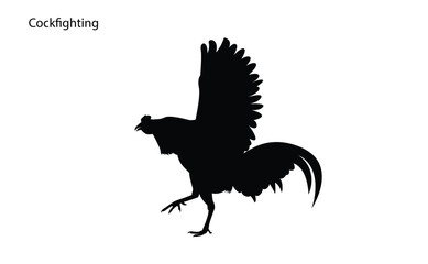 Silhouette of cocks flapping their wings, vector illustration