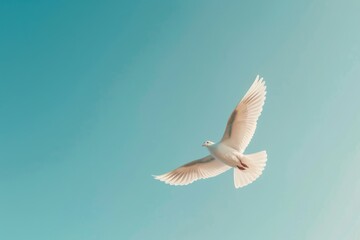 White Bird Flying Through Blue Sky