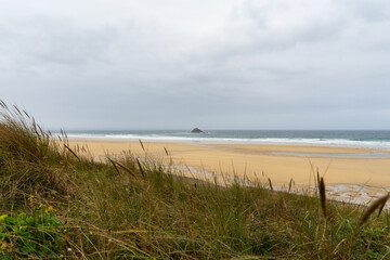 Au premier plan, hautes herbes de bord de mer. En arri&egrave;re-plan, grande plage de sable et &icirc;lot rocheux &eacute;mergeant de l'eau. 