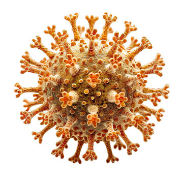 Front view of a single viroid isolated on a white transparent background